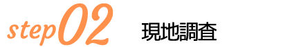 現地調査